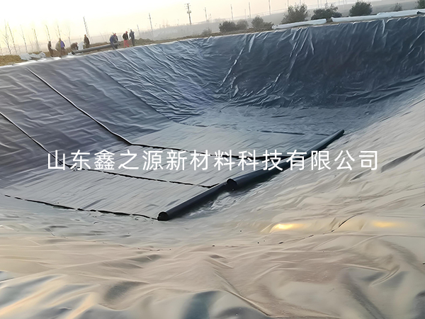 選擇防滲土工膜進(jìn)行小龍蝦養(yǎng)殖有哪些要點技巧？